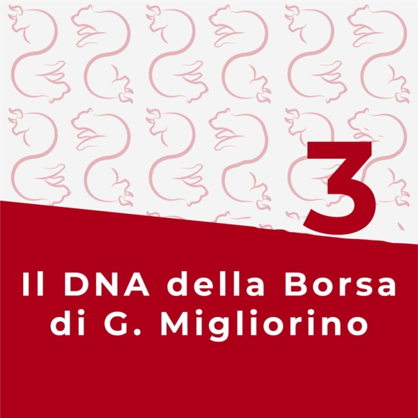 Il DNA della Borsa di G. Migliorino